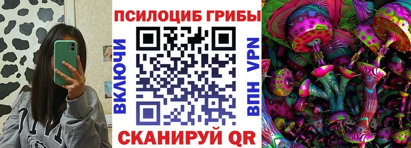 Галлюциногенные грибы Magic Shrooms  блэк спрут ССЫЛКА  Сальск 